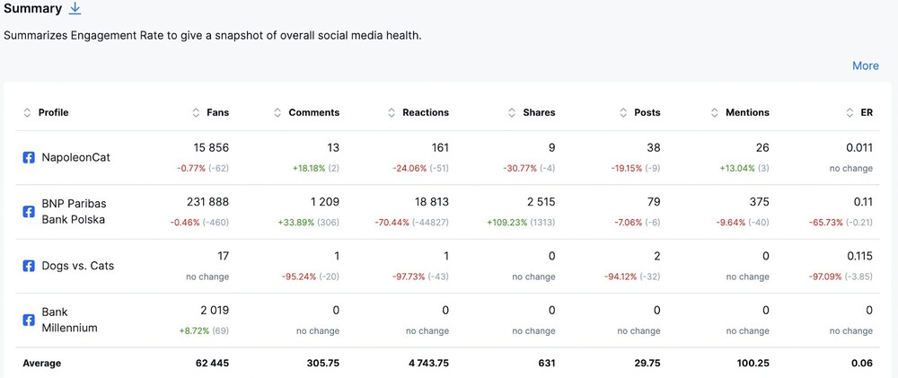 Facebook competitor analysis in NapoleonCat