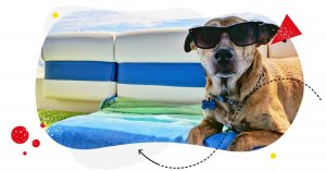 Gen Z Memes: Elevate Your Meme Game To Capture the Gen Z Audience