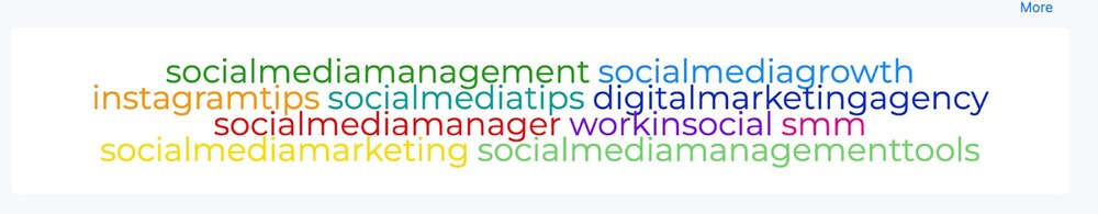 Un gráfico en NapoleonCat analytics que representa una nube de hashtags en Instagram
