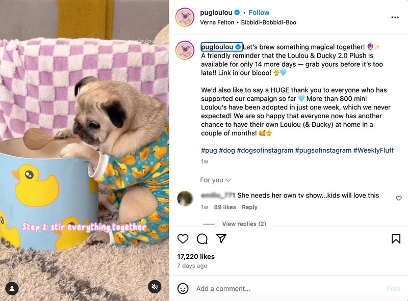 Instagram Reels hashtags - Dog hashtags for Instagram Reels