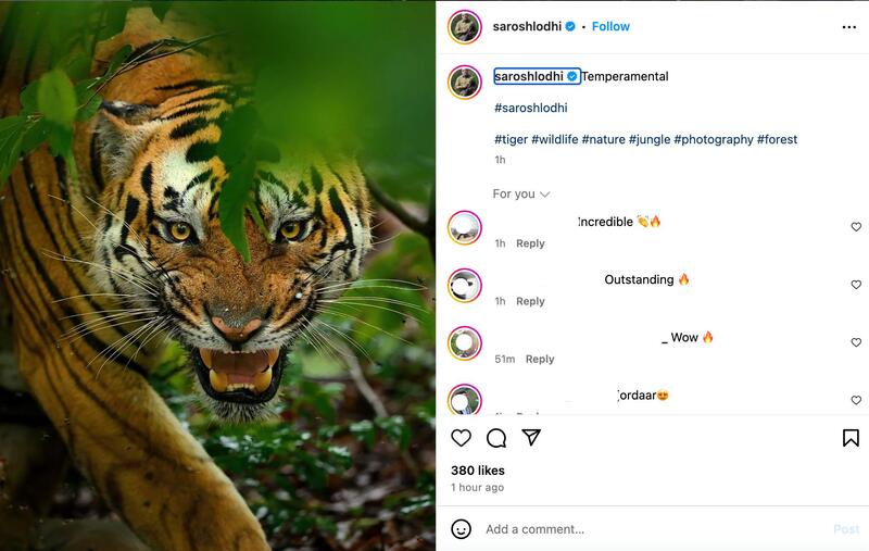 Instagram Reels hashtags - Nature hashtags for Instagram Reels