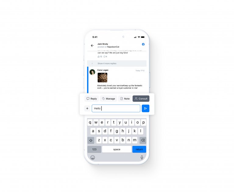 View of NapoleonCat mobile app