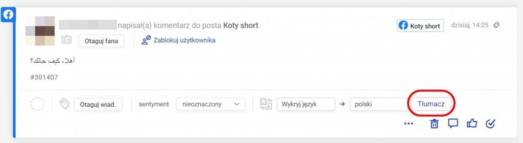 przycisk "Tłumacz"