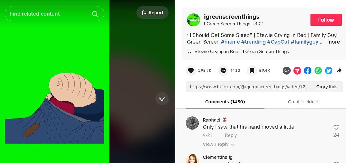 TikTok Trends - igreenscreenthings tiktok