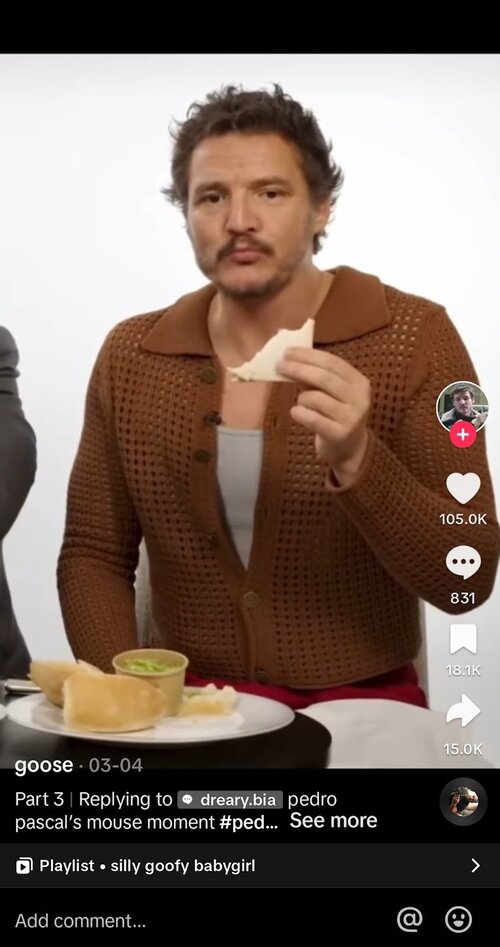 TikTok Trends - pedro pascal sandwich