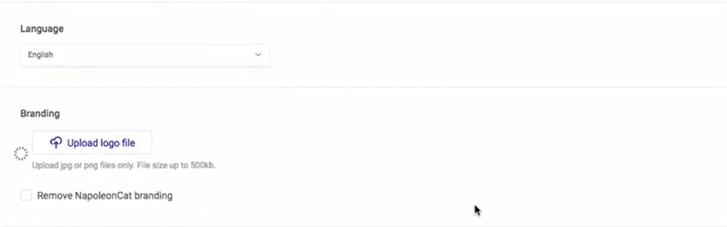 How to create a monthly social media report